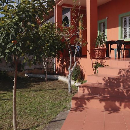 Vila 8 Krujë エクステリア 写真
